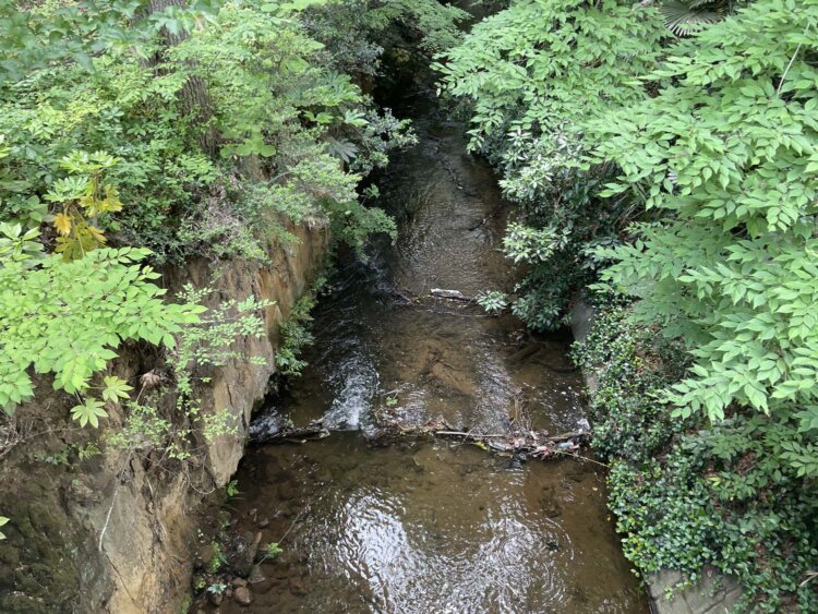玉川上水。