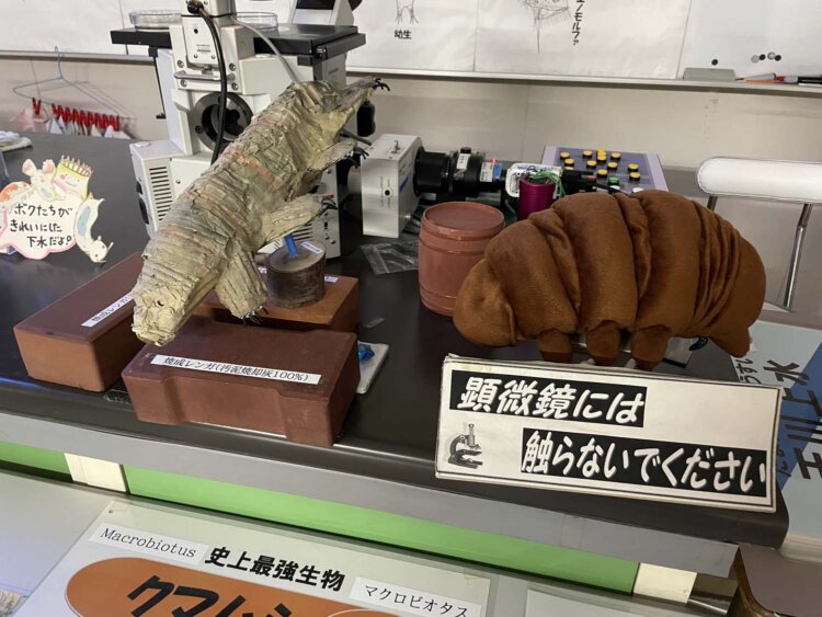 クマムシのぬいぐるみ。