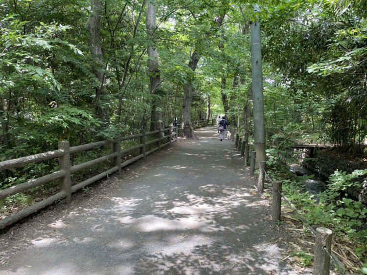 玉川上水緑道。