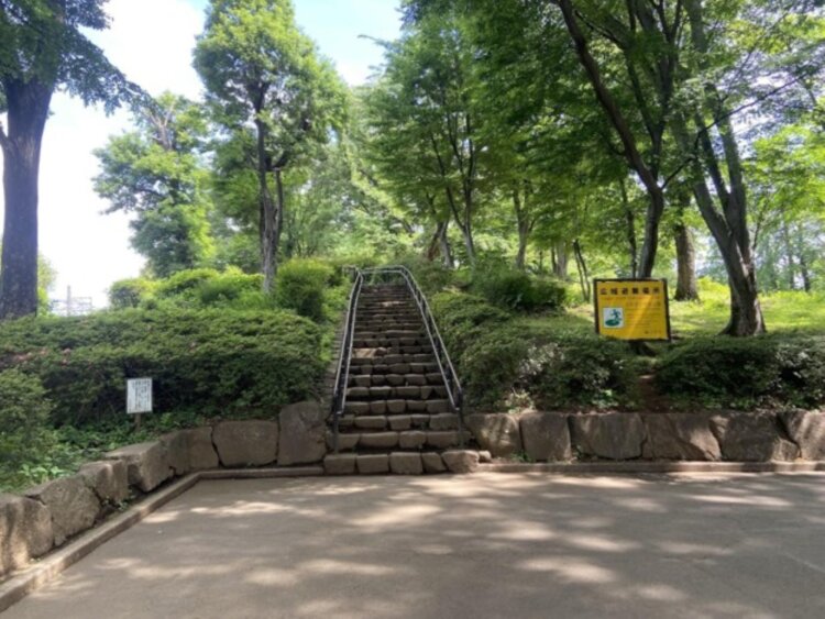 築山。