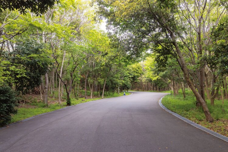 ピエール瀧が行く ファンキー！公園