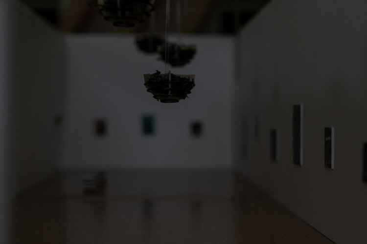ほぼ、空：青木淳＋リチャード・タトル 展示模型。撮影＝ToLoLo studio。