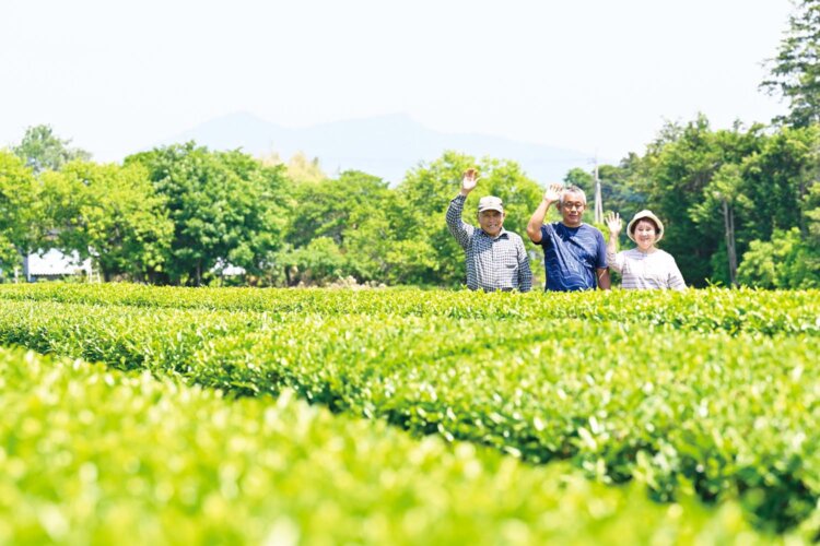 流山・守谷・つくばで持ち帰りたい地元の味4選。手みやげにもおすすめの産直ハントへ！