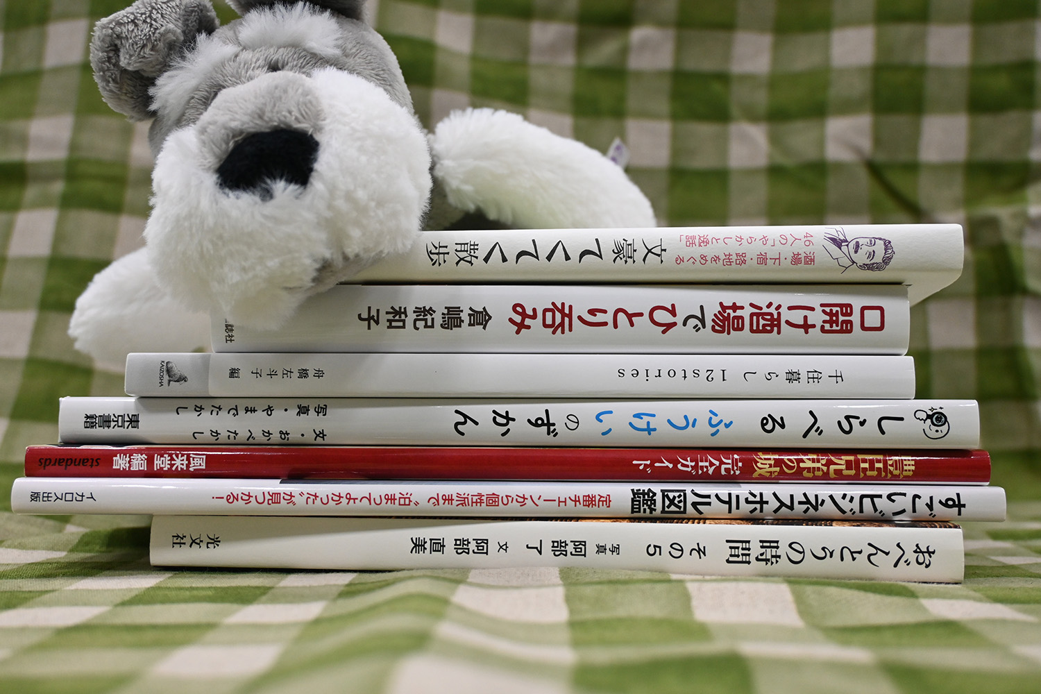 DSC_0065サンポマスター