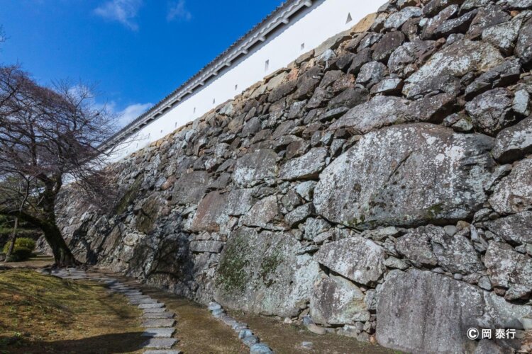 秀吉時代に築かれた石垣は、自然石を使用した野面（のづら）積みだ。