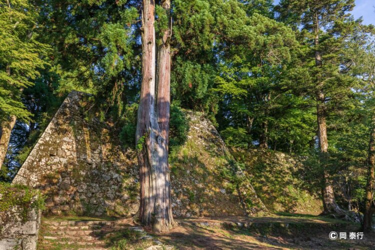 険しい山城なので足ごしらえや水分など準備を万全に。トイレの場所も要確認！