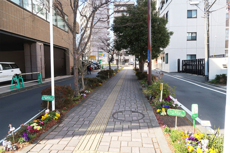 教えてもらった緑道へ向かう途中の花の小径。かわいい……。