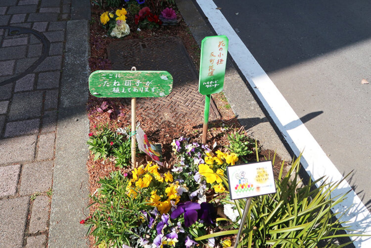 色とりどりでほっこり。