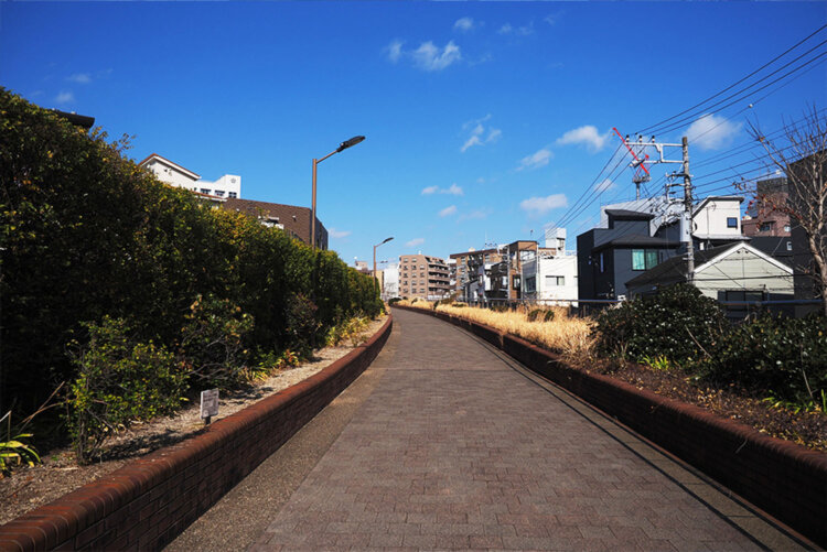 緑道の幅は割と広いから、快適に歩ける。