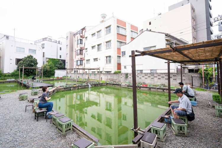 阿佐谷北一丁目歩道橋や『釣り堀寿々木園』はマンガ『ひらやすみ』に登場し聖地的存在に。『釣り堀 寿々木園』8:00～日没、金・雨天時休。1時間700円。☎03-3398-0607