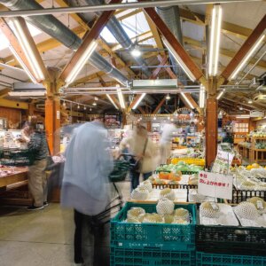 徒然リトルジャーニー・茨城町