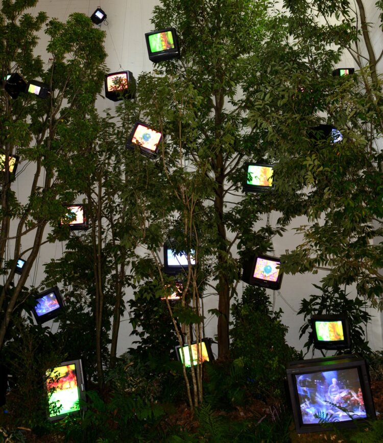 ケージの森／森の啓示（部分） 1993年 植物、モニター20台、映像3チャンネル、再生機3台、ステレオ1組