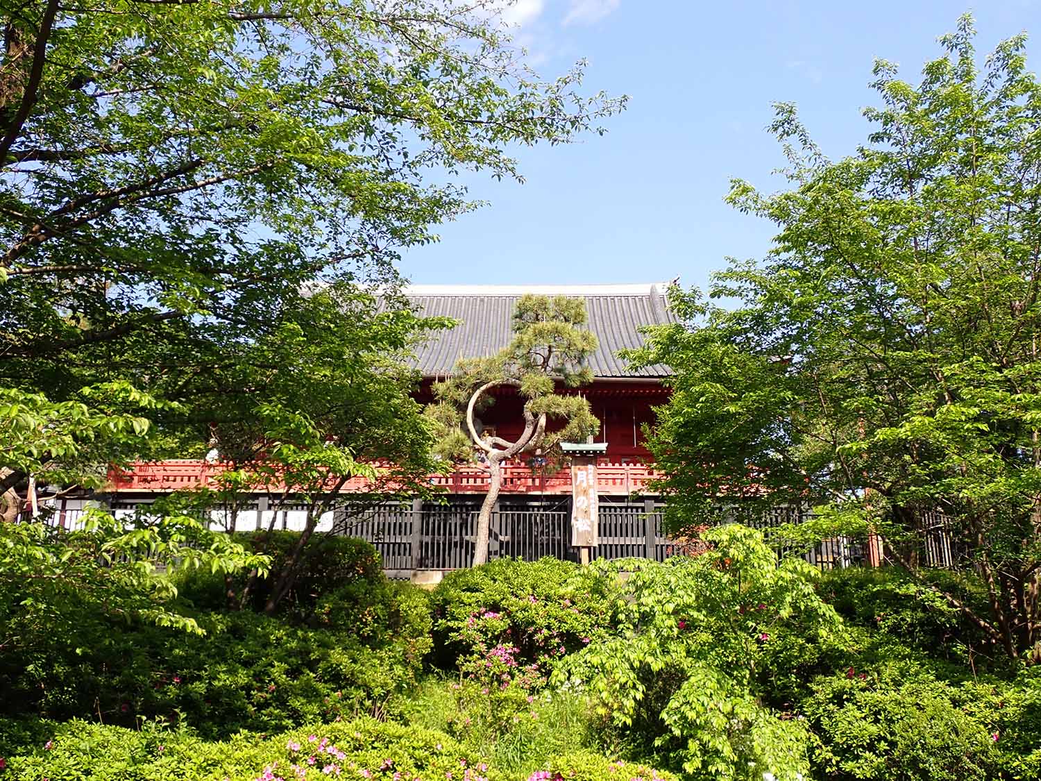 P4200798上野のおとしぶみ