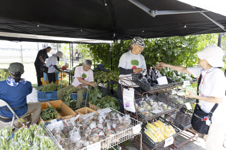 トウモロコシやナス、キュウリなど朝採れの野菜が満載。