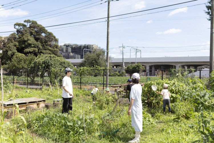 開放的なわくわく農園。オープンだからこそ気軽に立ち寄りやすい。