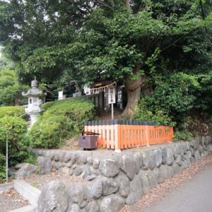 【多摩散歩コース】武蔵村山市～里山の自然のなかで遊び、武蔵野うどんを食す～
