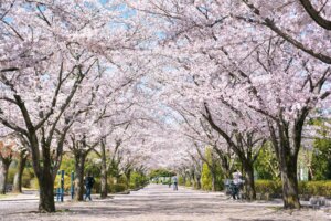陵南公園