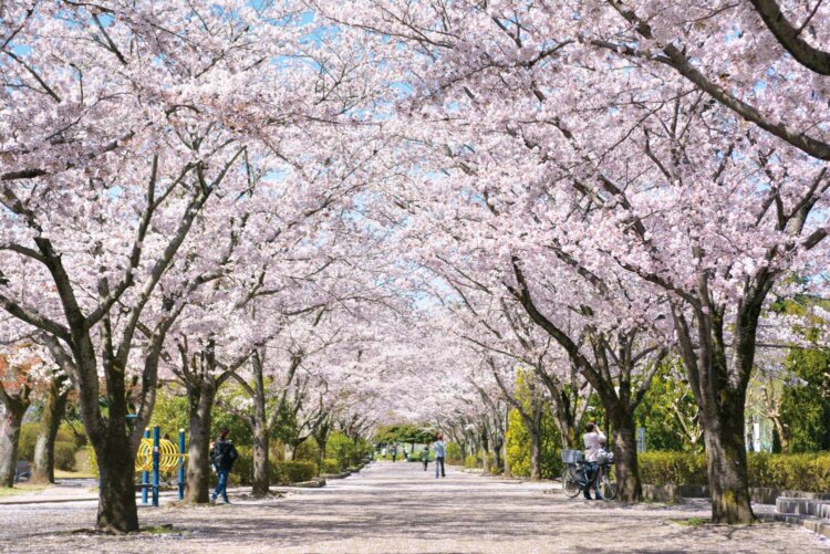 陵南公園