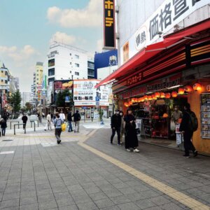 【多摩散歩コース】八王子市～厳かな陵墓（りょうぼ）からにぎわいの商都へ～