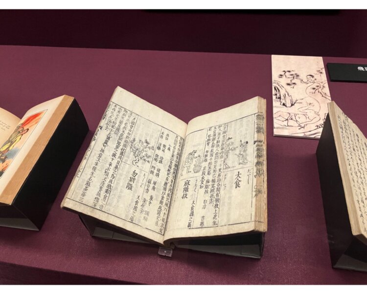 『和漢三才図会』寺島良安 1712年。中国で編纂された『三才図会』にならった江戸時代の百科事典で、このページには大食（アラビア）には人の頭のような実がつく樹木があると書かれている。