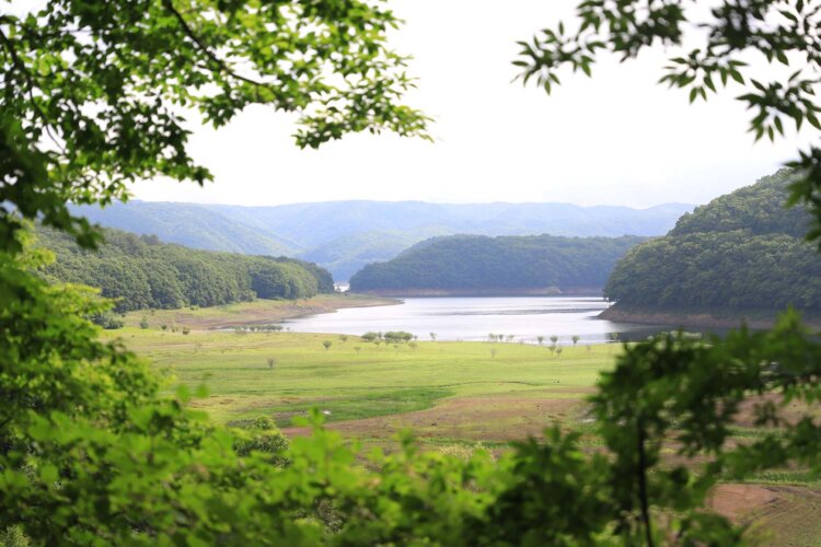 やすらぎ橋を渡った先にある、羽鳥湖展望広場からの眺め。