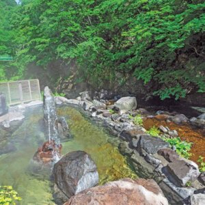 電気も水道もない秘湯、山形県の大平温泉『滝見屋』から世界とつながる若女将の全力人生
