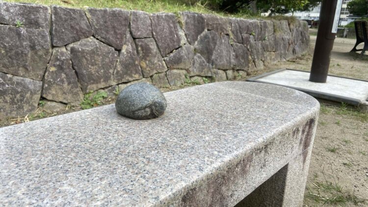 ここにも亀。