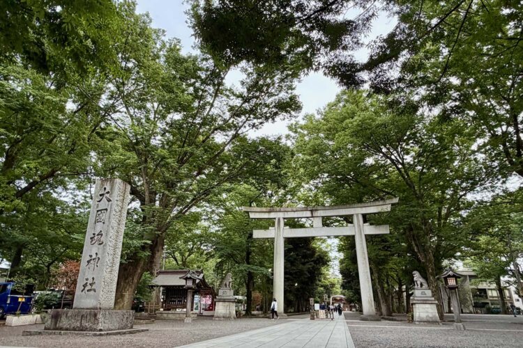 大國魂神社、けやき並木の参道は荘厳。いつ来ても背筋が伸びます。