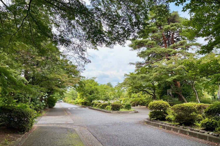 多磨霊園。東京競馬場もだが、都心の膨張に合わせてやってきた巨大施設というパターンは府中に多い。