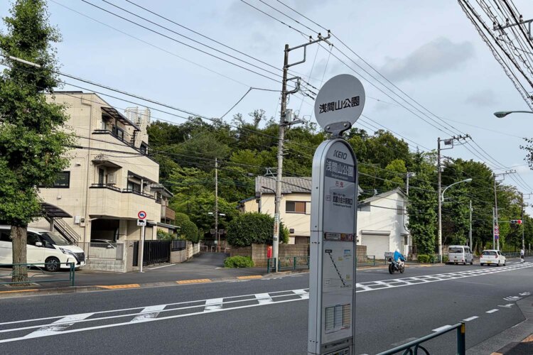 奥が浅間山。黒井千次氏の短編「せんげん山」にも、ペーソスを交えて描かれている。