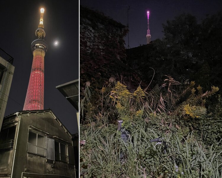 向島エリアの下町風景とのコラボツリー。左は墨田区押上、木造モルタルの塔院の上に立つツリー。月もコラボ中。右は墨田区文花、狭小湿原となった空き地ををじっと見下ろすおツリーさま。逃走者をビームで攻撃しそう。