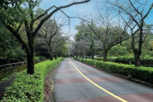 多摩よこやまの道