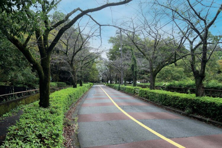 多摩よこやまの道