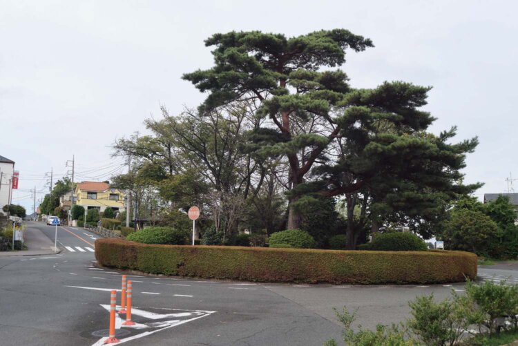 ぐるりと1周するロータリー広場。