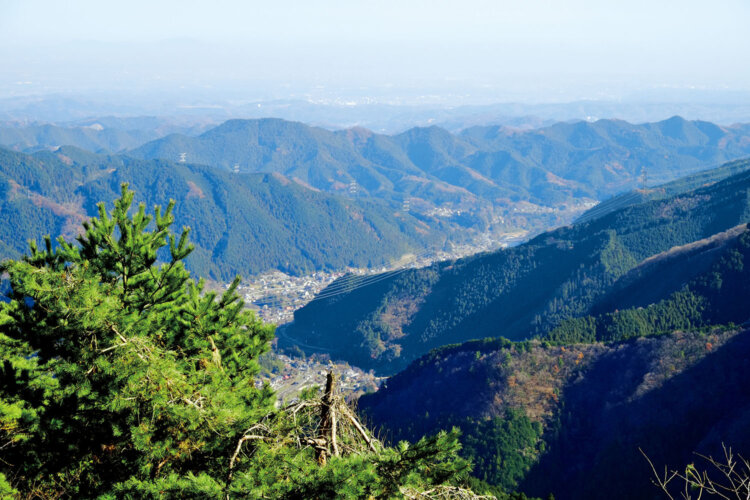 ケーブルカーの御岳山駅そばの展望所からの眺め。奥に青梅丘陵の山並み。