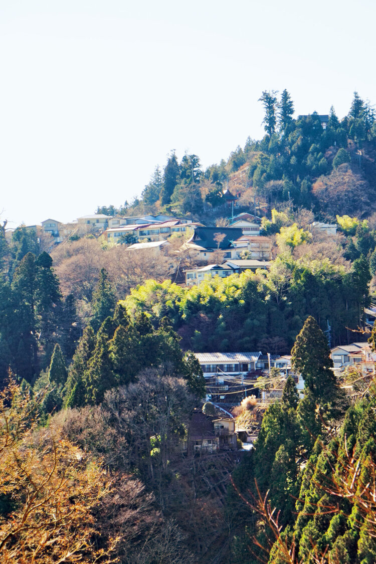 御岳山の近くにある御師の集落。20軒ほどの宿坊があり、宿泊も可能。