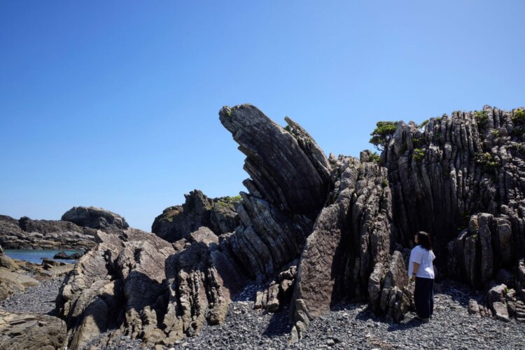 海岸には長い年月をかけて隆起し、波に削られてできた奇岩がそそり立つ室戸岬。太平洋を一望する眺めは雄大で、荒々しい波しぶきも絵になる。●室戸岬バス停下車すぐ。