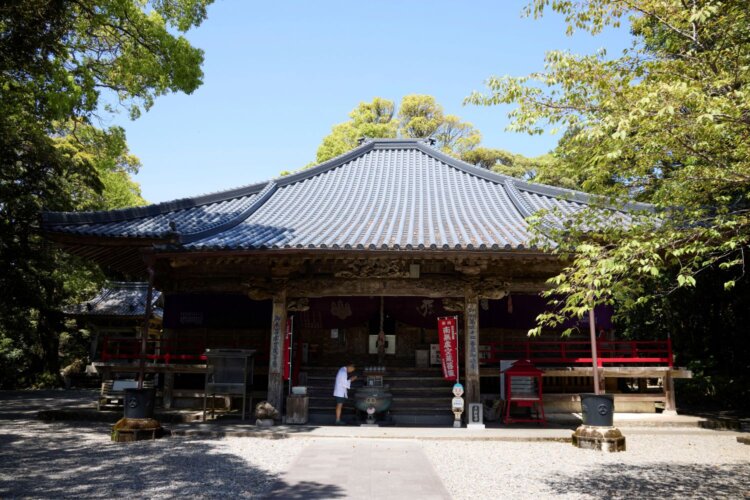 南国の風情を感じる亜熱帯植物に囲まれた本堂。