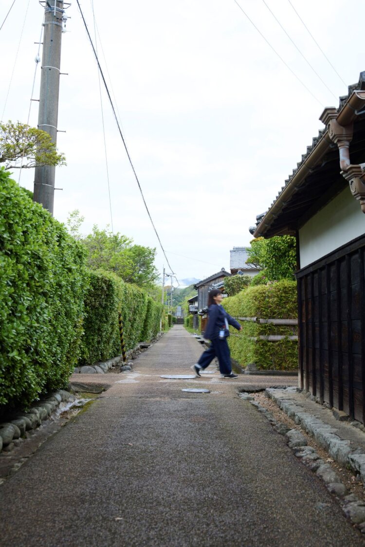生垣に囲まれた武家屋敷が残る「土居廓中（かちゅう）」。 往時の面影をいまも色濃く感じられる。