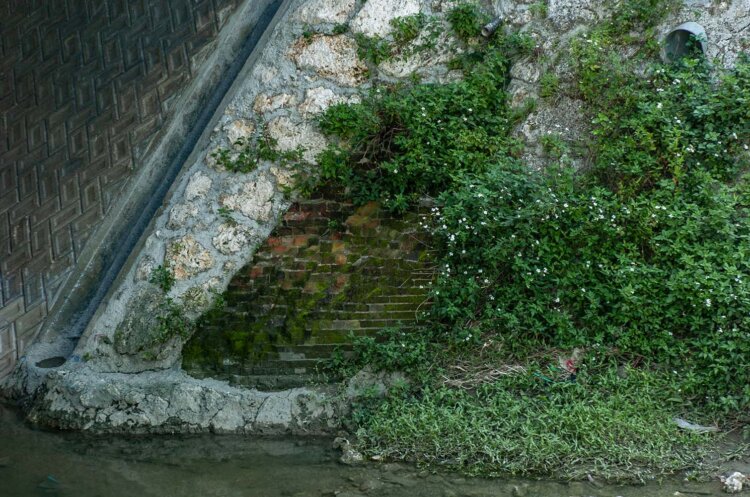 20050403-_DSC0035沖縄県営
