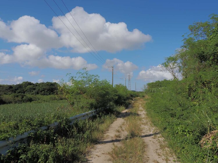 糸満市消防本部と報徳川に挟まれた砂利道は糸満線の廃線跡だ。遺構は無いが緩やかなカーブを描いている。雑草が生い茂っているので、小型乗用車での通行は要注意。