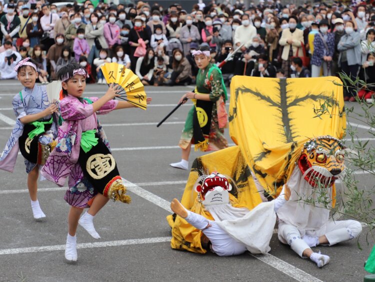 釜石に伝わる伝統芸能・虎舞。胴幕の中に二人一組で入り、本物の虎のごとく激しく跳ね踊る。