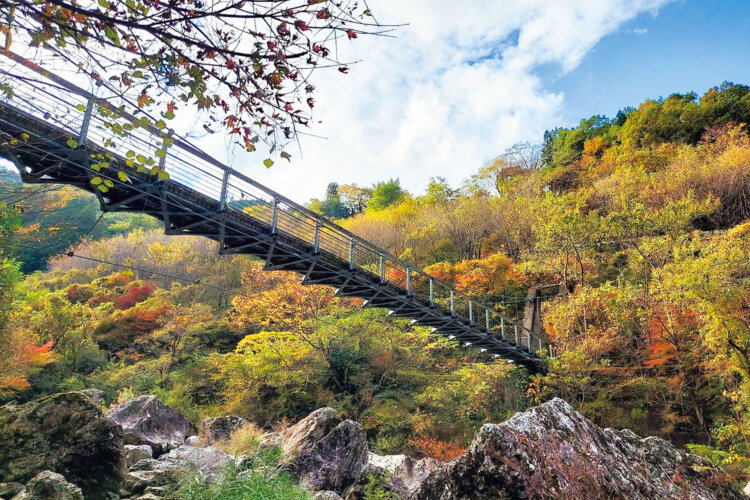 岩屋川渓谷の吊り橋を渡って上流へ。地元を知りつくした仁淀川町の観光を考える会のガイドのもと、 巨石の間を通り抜けたりするルートを歩く。