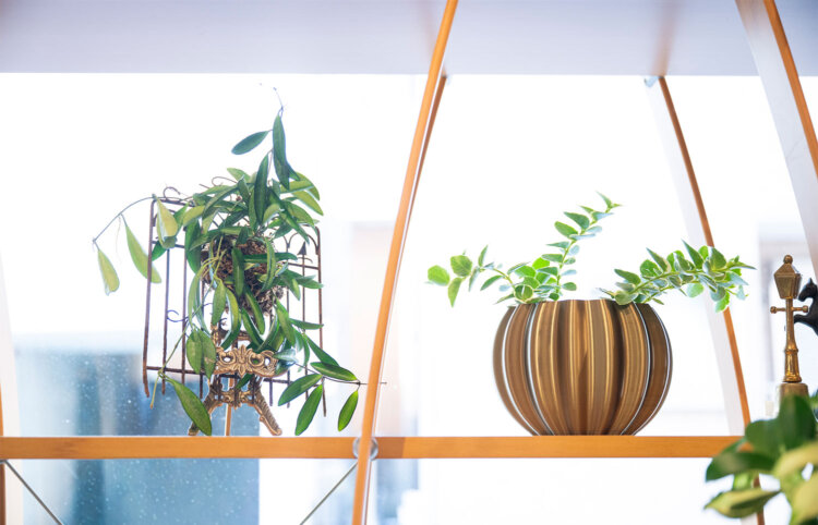 左から、ビンテージ雑貨を合わせた養生植物アレンジメント4000円、オリジナル鉢カバー3600円。