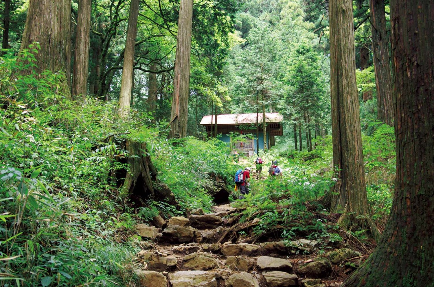 IMGP1517御岳山