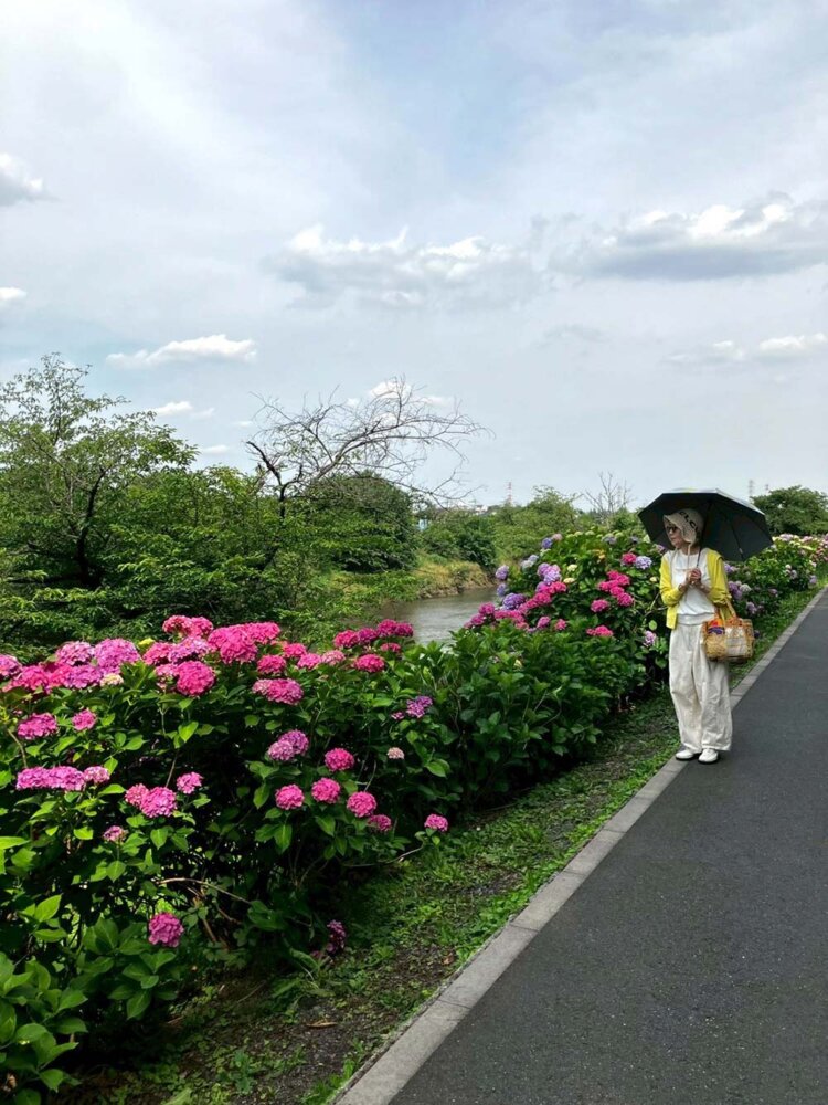 「新河岸川あじさいロード」は、平日の昼間で、よかったかも。お気に入りの場所がまた一つ増えました。