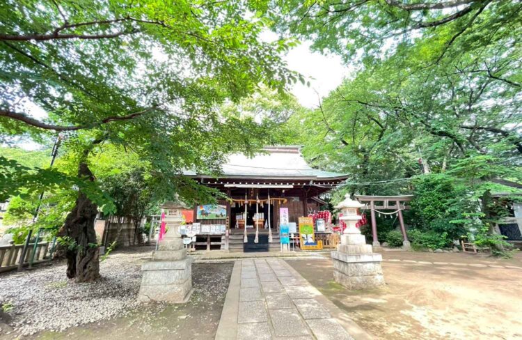 敷島神社はお祭りに来てみたい。