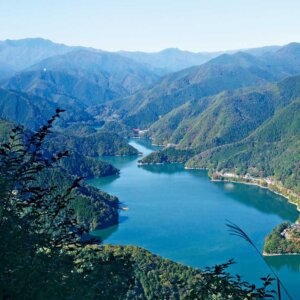 【首都圏日帰り山さんぽ】御前山から湯久保尾根～四季折々楽しめる奥多摩の森と名峰を歩くロングコース