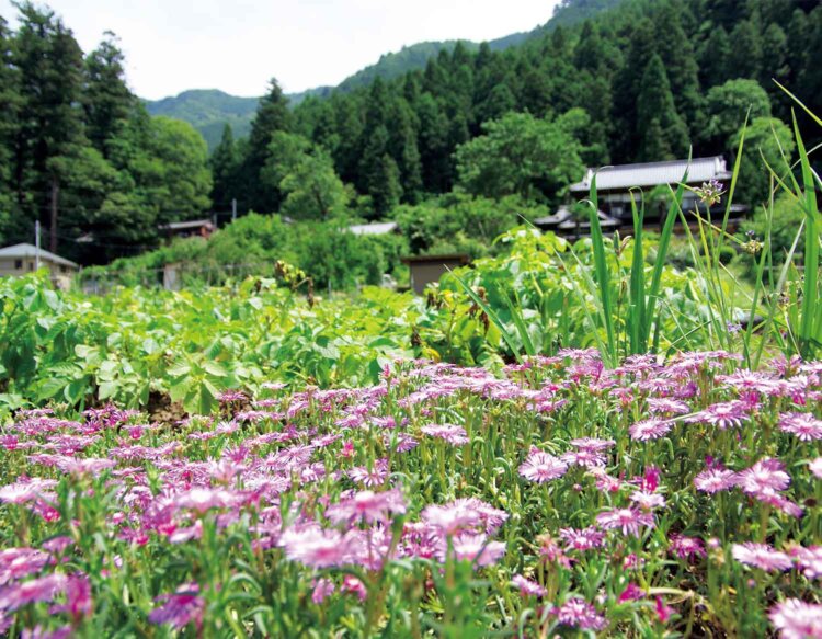 千足の集落。