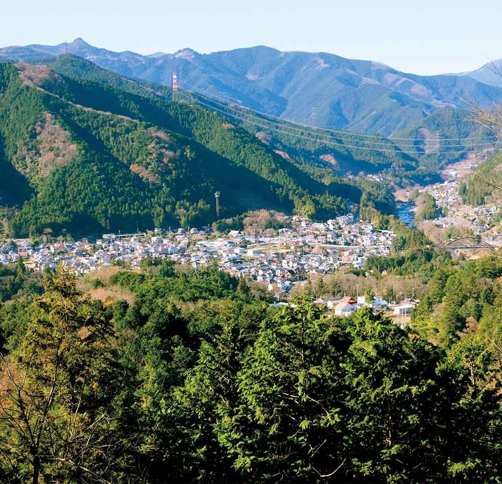 【首都圏日帰り山さんぽ】青梅丘陵～城跡が残る青梅の快適ハイキングコース
